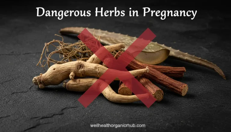 List of dangerous Ayurvedic herbs to avoid during pregnancy for safety