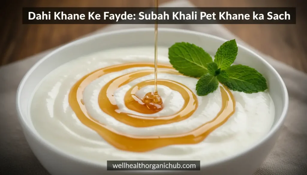 Benefits of Yogurt in The Morning