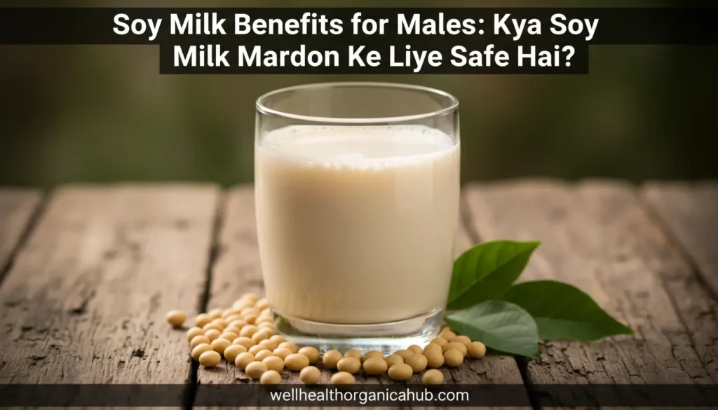 soy milk benefits for males - Indian plant based protein for men